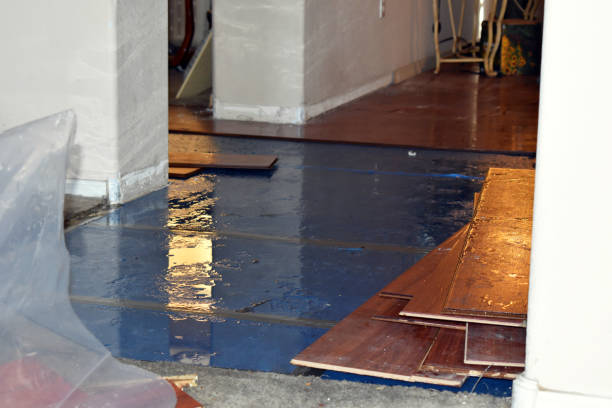 Professional Water Damage Restoration technician working in Danvers, MA